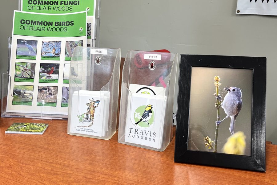 The framed Black-crested Titmouse print on a desk next to Travis Audubon brochures and bird guides at Blair Woods