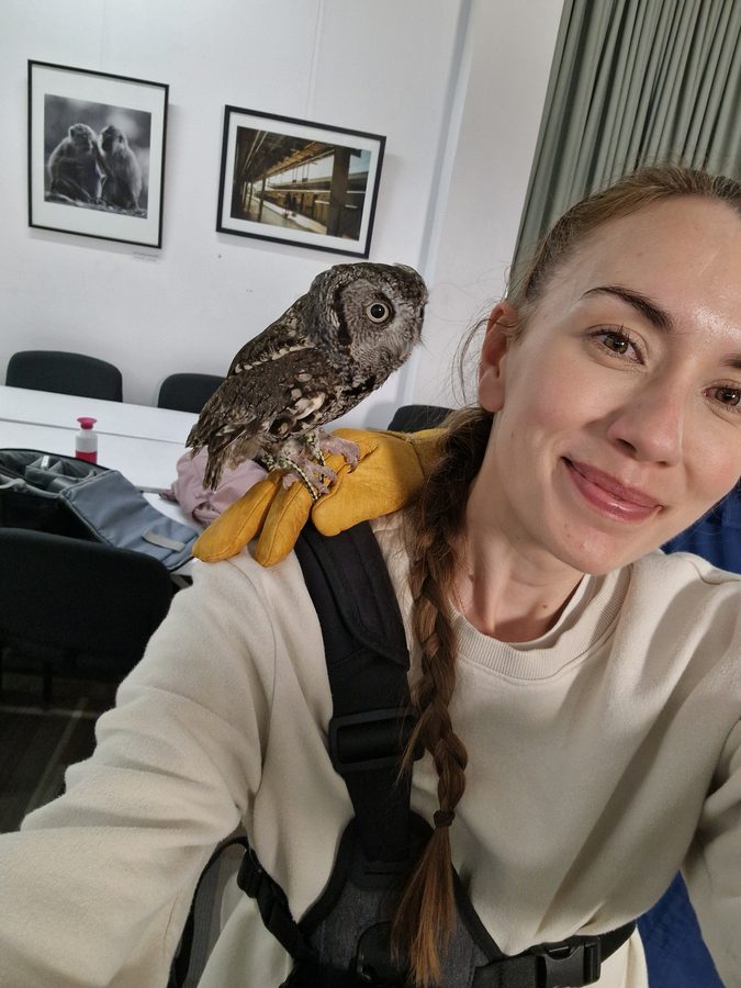 Yvonne Karnath smiling, with an Eastern Screech-Owl perched on a leather glove on her shoulder